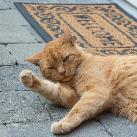 Auszeit Appartamento Salem (Baden-Wurttemberg)