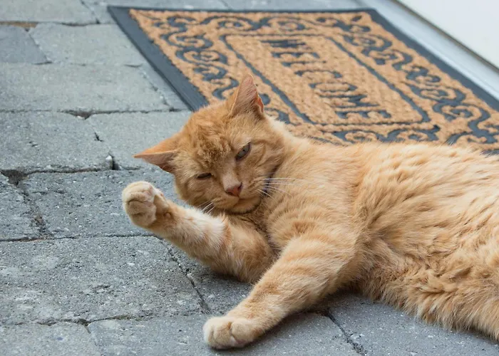 Auszeit Lägenhet Salem (Baden-Wurttemberg)